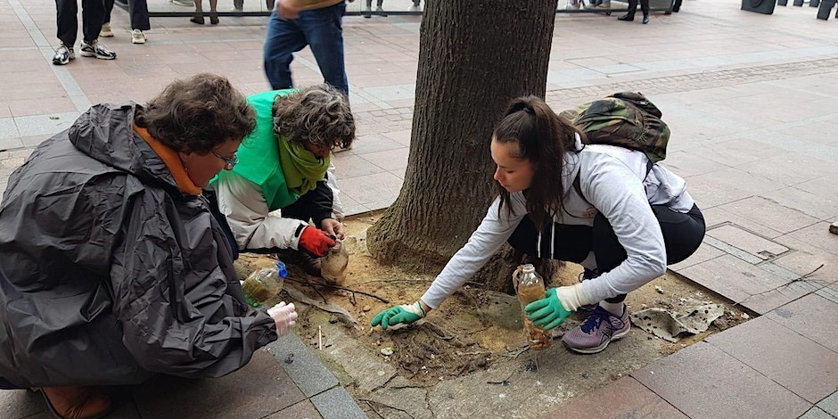 Journée Volontariat - Atelier écogeste